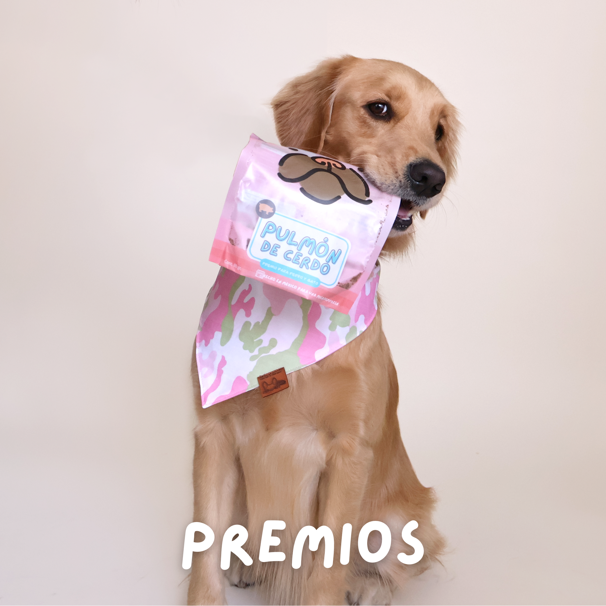 Premios