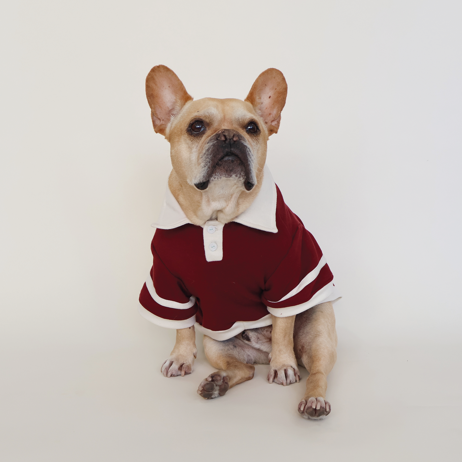 Sudadera Foodie