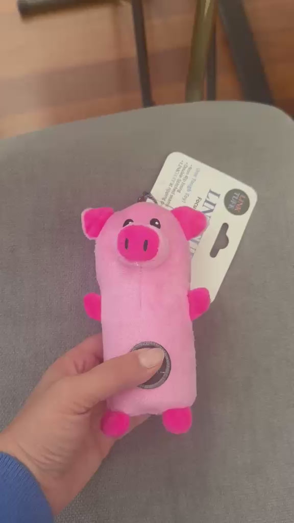 Pig Toy